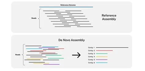 Sequencing Dna DNA Sequencing — Science Learning Hub