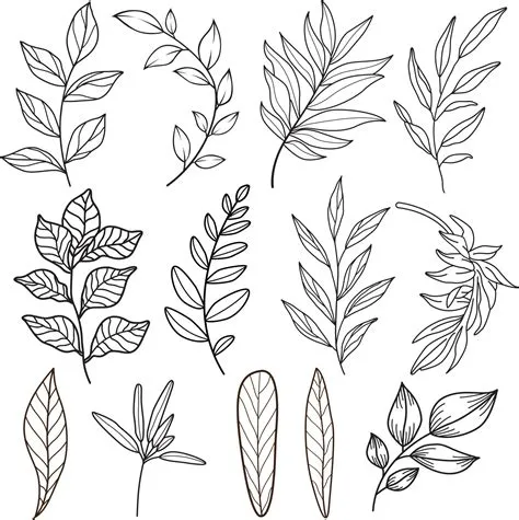 line drawing vector leaf.Abstract leaf Art design for print, cover ...