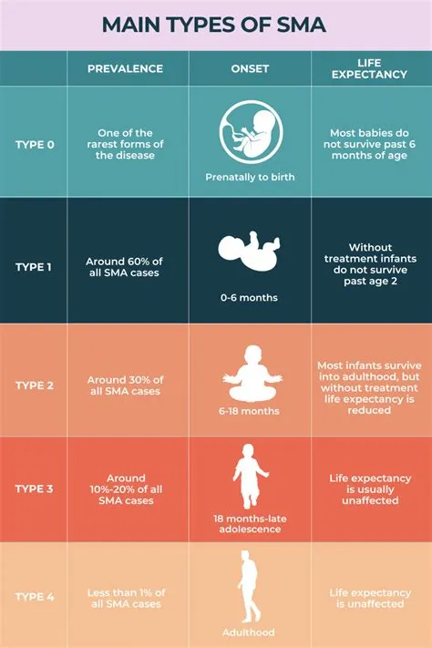 Spinal Muscular Atrophy (SMA) Types | SMA News Today