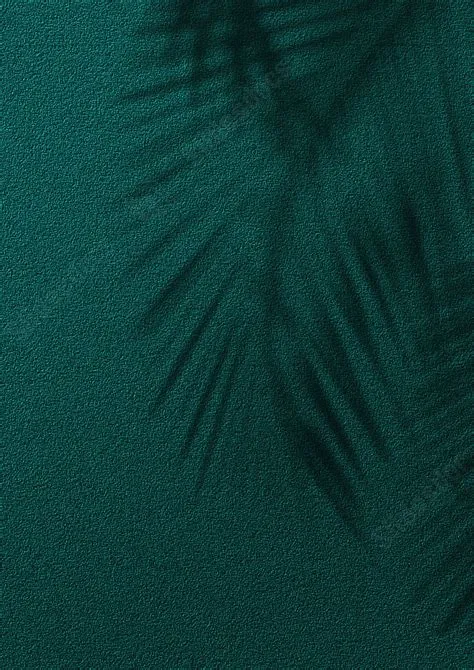 Solid Dark Green Background