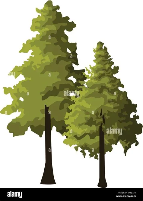 Pines pine trees Stock Vector Images - Alamy