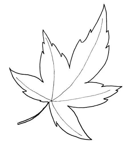 Leaf Templates Free Printables - Printable Free Templates
