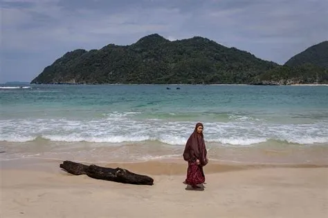 Indian Ocean tsunami: 20 years later, a disaster's lasting impact