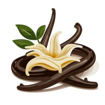 Vanilla Bean Vector, Sticker Clipart Vanilla Bean With Flower And ...