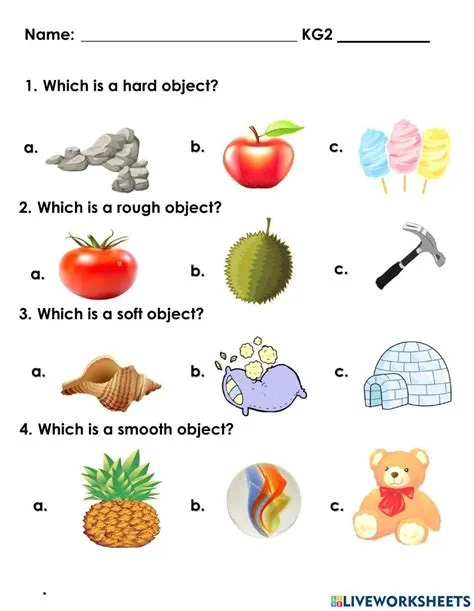 Rough And Smooth Objects Worksheets