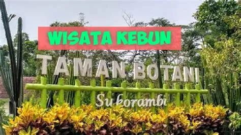 WISATA KEBUN DI TAMAN BOTANI JEMBER - YouTube