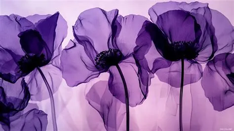 Purple Floral PC Wallpapers | Purple flowers wallpaper, Dark purple ...