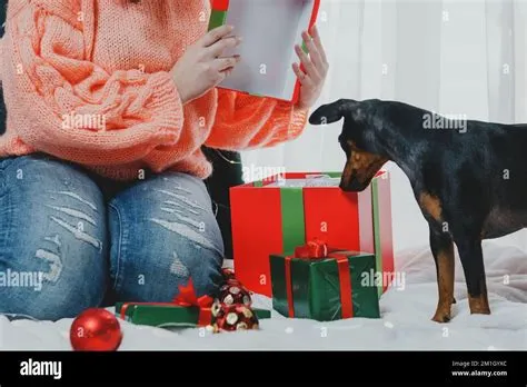 Portrait of young woman playing with funny dog miniature pinscher ...