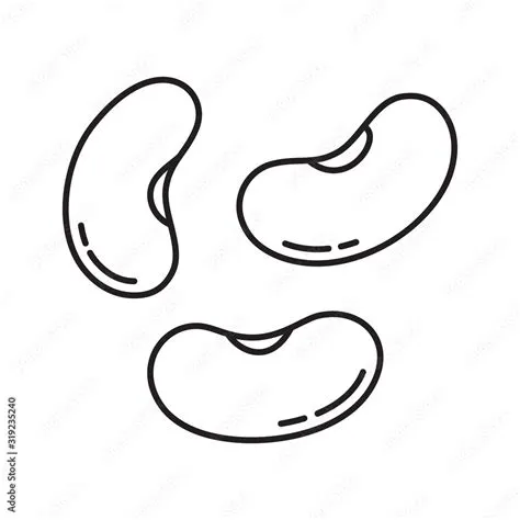 Vecteur Stock Set of three beans icon. Linear logo for design of bean ...