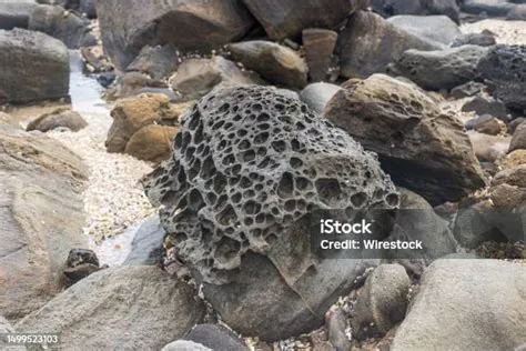 Tampilan Dekat Batu Yang Penuh Lubang Akibat Pelapukan Dari Waktu Ke ...