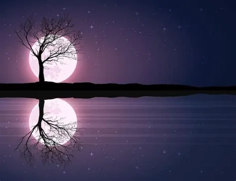 Premium Vector | Starry night landscape with copy space, full moon ...