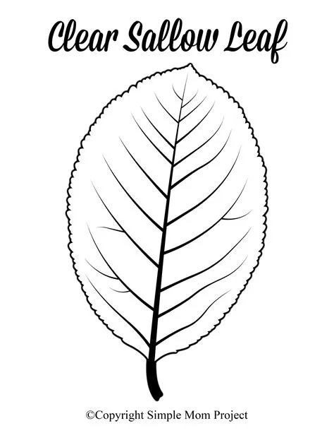 Leaf Templates Free Printable Not Only Are These Perfect For Crafts ...