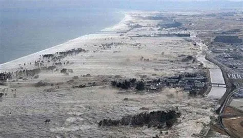 Tsunami Banyuwangi 1994 - Ambisius Wiki