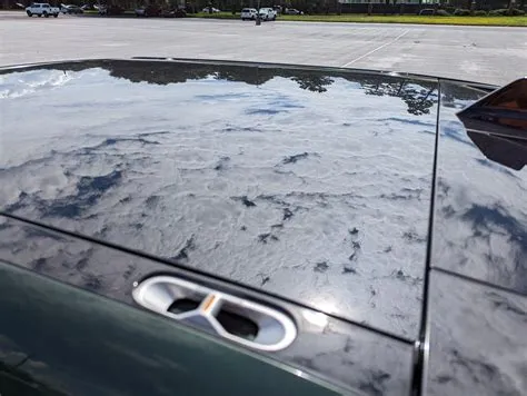 Kim Java’s posing shatters glass pano roof… | Page 7 | Rivian Forum ...