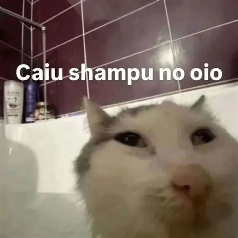 em Postings' and memes 🇧🇷