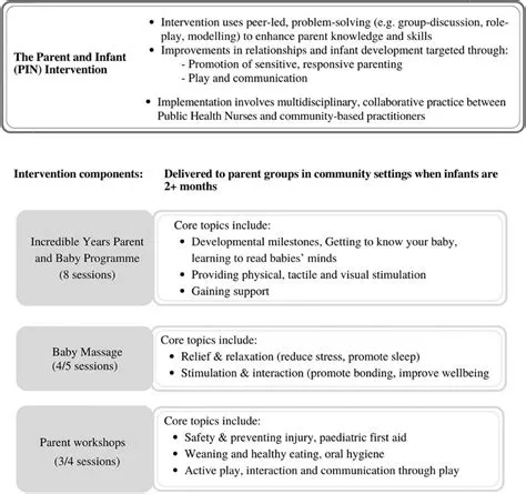 Overview of the PIN programme adapted from Hickey et al., 2020 [28 ...