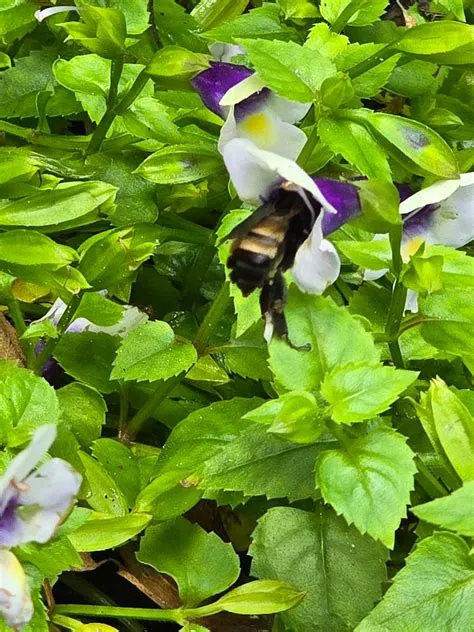 A post from brittanywilson21742 in Jacksonville.