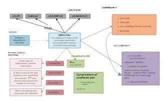 Pain Concept Map Nursing | Mind Map - EdrawMind