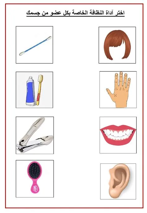 School objects interactive and downloadable worksheet. You can do the ...