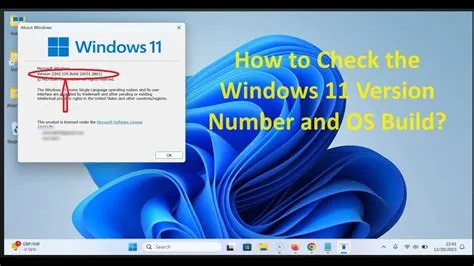 How to Check the Windows 11 Version Number and OS Build? - YouTube