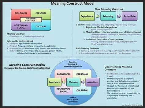 MEANING CONSTRUCT MODEl