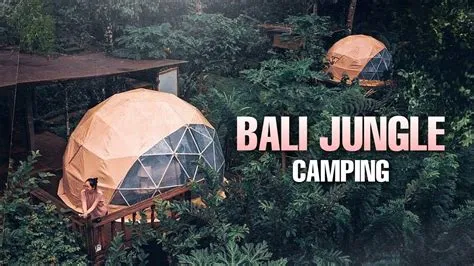 BALI JUNGLE CAMPING : Glamping di tengah hutan rindang dan akses jalan ...