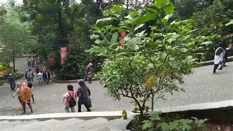Taman Botani Jember Punya 100 Tangga Menuju Wahana Wisata - YouTube