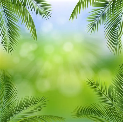 Premium Vector | Green nature poster with bokeh and palm leaves