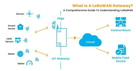 Understanding LoRaWAN Gateways: A Comprehensive Guide
