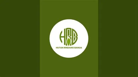PT. HUTAN RINDANG BANUA sedang live sekarang! - YouTube