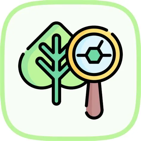 Anomaly Detection with Isolation Forest | Machine Learning Tutorial | LabEx