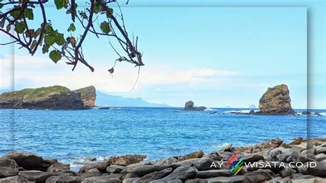 11 Aktivitas Seru Di Pantai Papuma Jember Yang Akan Membuatmu Ketagihan