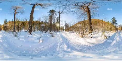 360° view of Road in the winter forest at dawn. Spherical 360 VR 180 ...