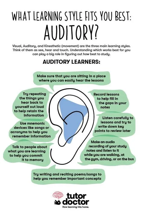What Learning Style Fits You Best: Auditory? in 2025 | Auditory ...