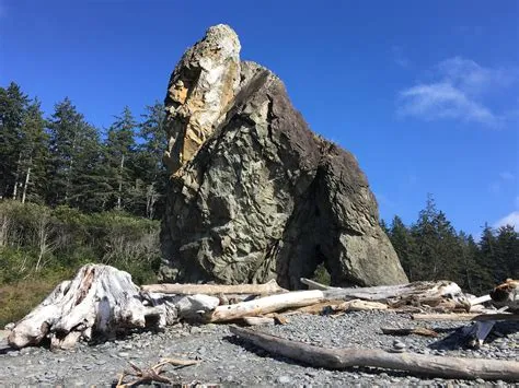 Harambe-Shaped Rock Formation on Rocky Hillside