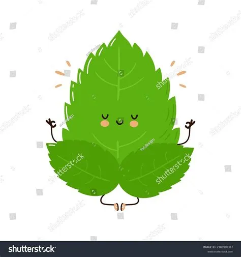 Cute Funny Mint Leaf Character Vector Stock Vector (Royalty Free ...