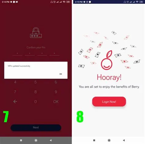 How To Reset Your Berry Loan App Pin
