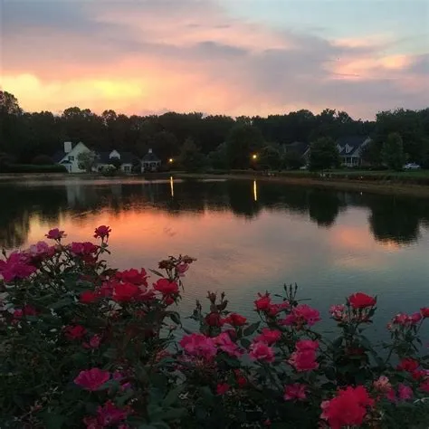 Loading... | Nature aesthetic, Scenery, Nature