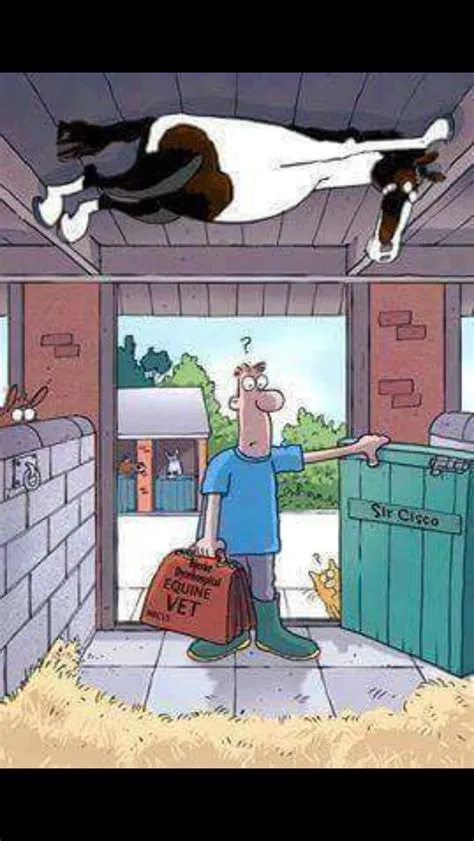 by Shellie Smith on just for laughs | Funny horses, Horse quotes ...