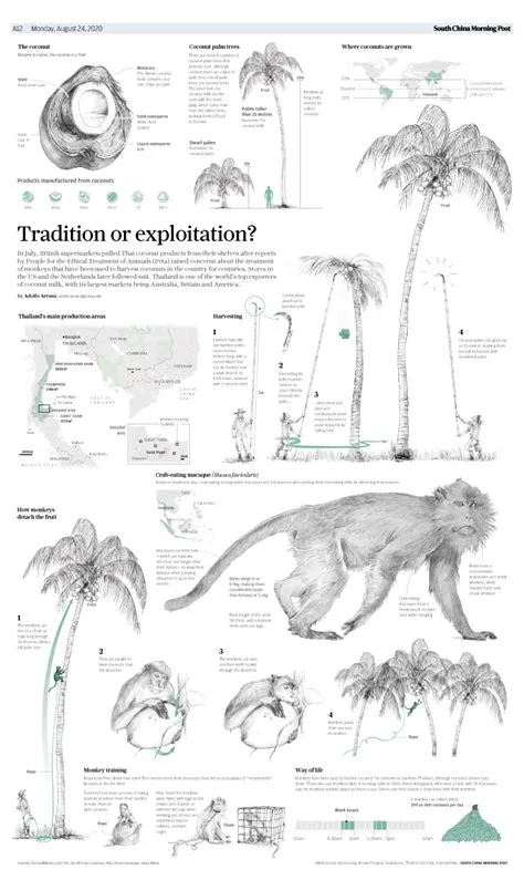 SCMP Print Arcade | Infographic, Animal infographic, Scientific poster
