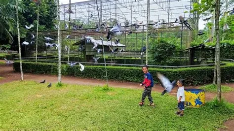 Taman Galaxy Jember, Tempat Rekreasi Keluarga yang Ramah dan Gratis ...