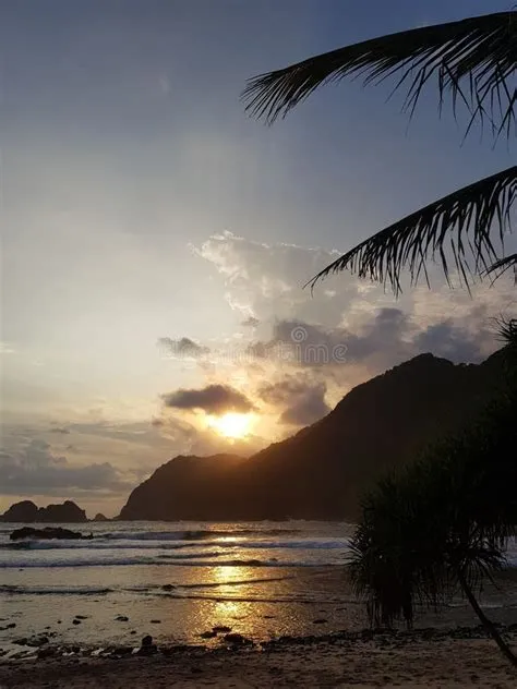 Papuma strand stock afbeelding. Image of oost, mooi - 264245099