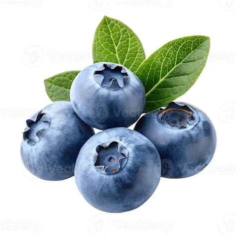 High detail realistic blueberries design isolated on transparent ...