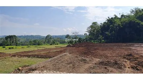 Jual Kavling Hanya 900 Ribuan Per Meter Lahan Di Bintoro Patrang di ...