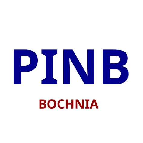 PINB - PINB Bochnia