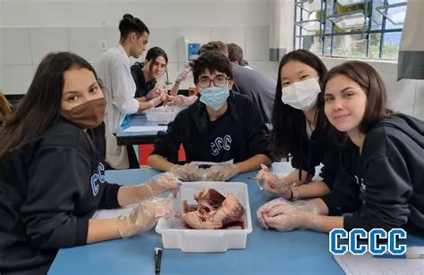 Colégio Cecília Caçapava