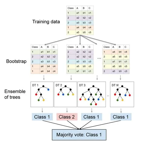 8. Image classification - Random Forests