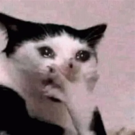 Emotional Animated Sad Cat Crying GIF | GIFDB.com