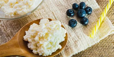 ¿Para qué sirven los Búlgaros? Descubre sus usos y beneficios - VRIM ...