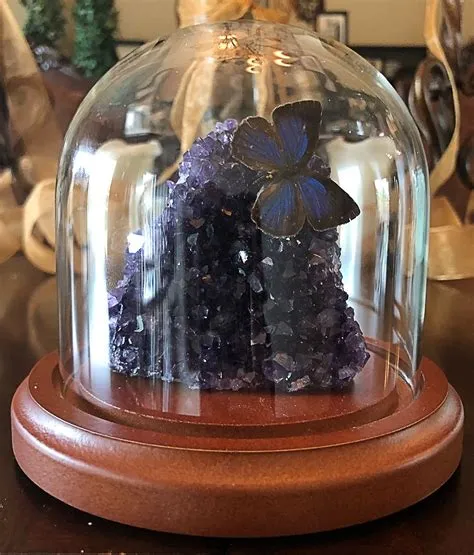 Occult Store | Artem Mortis 2/4